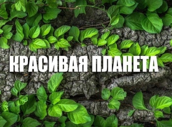 Красивая-планета-Бельгия-Исторический-центр-Брюгге