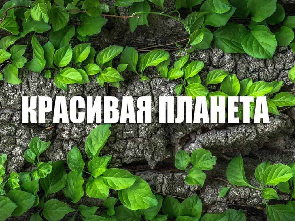 Красивая-планета-Германия-Замки-Аугустусбург-и-Фалькенлуст-в-Брюле