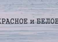 Красное-и-Белое-Эрмлер-и-Шульгин