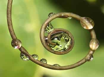 программа China TV: Круг жизни