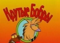 программа Бобер: Крутые бобры