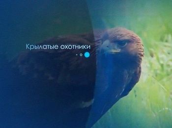 программа Охота: Крылатые охотники Эпизод 7 й