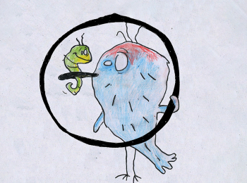 Кстати,-о-птичках