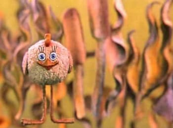 Кто-ж-такие-птички?