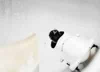 Кубок-мира-по-бобслею-и-скелетону-Трансляция-из-США