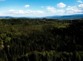 программа Спас ТВ: Кузбасская голгофа