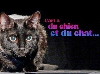 L-art-a-du-chien,-et-du-chat