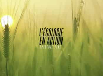 L-écologie-en-action