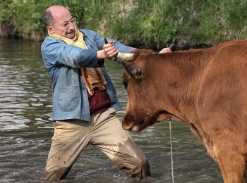 La-Vache