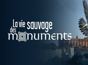 программа TV5: La vie sauvage des monuments