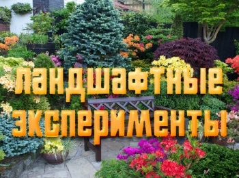 Ландшафтные-эксперименты-17-серия