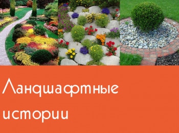 Ландшафтные-истории-4-серия
