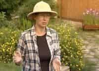 программа Загородный: Ландшафтные истории