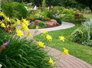 Ландшафтные-хитрости-Пихты-в-саду