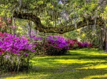 Le-jardin-extraordinaire