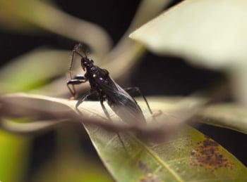 Le-labyrinthe-secret-de-Namoroka