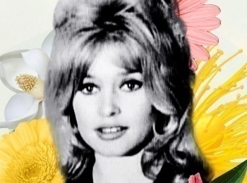 программа TV5: Le mystère Bardot