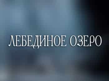 программа Теледом: Лебединое озеро