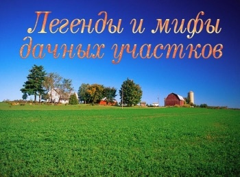 Легенды-и-мифы-дачных-участков-Грузино,-Ленинградская-область-Огородники-семья-Павловых