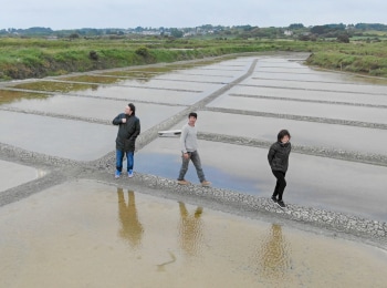 Les-Maîtres-Des-Saveurs-D-Île-De-France
