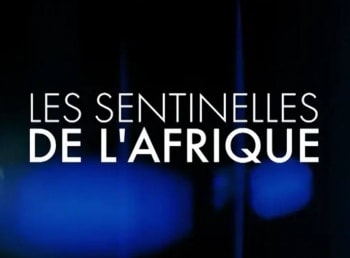 Les-sentinelles-de-l-Afrique-Gabon,-les-gardiens-de-la-forêt