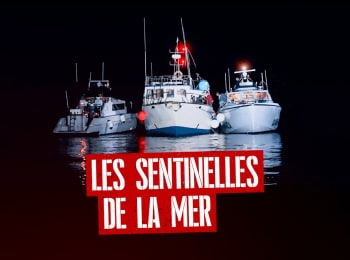 Les-sentinelles-de-la-mer