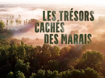 Les-trésors-cachés-des-marais