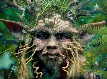 программа 360 Подмосковье: Леший его знает!