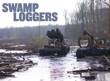 Лесоповал-на-болотах-Болотная-лихорадка