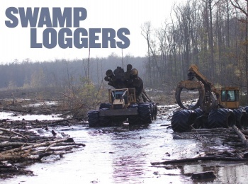 Лесоповал-на-болотах-Конца-не-видно