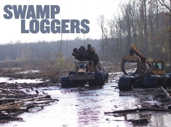 программа Discovery: Лесоповал на болотах Расходящиеся дороги