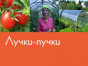 программа Усадьба: Лучки пучки 13 серия