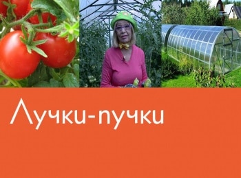 Лучки-пучки-17-серия