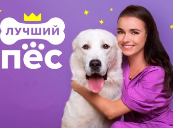 Лучший-пес-12-серия