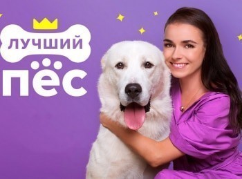 Лучший-пес-8-серия