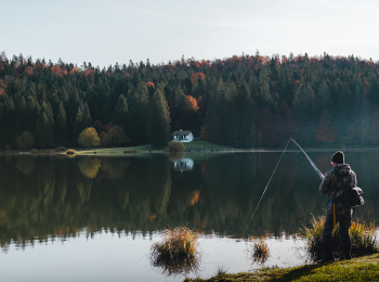 программа Охотник и рыболов: Луговая рыбалка 2 серия