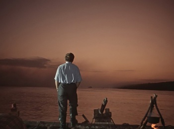 Любимое-кино-Верные-друзья