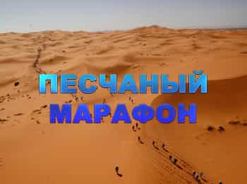 программа TV5: Marathon des sables