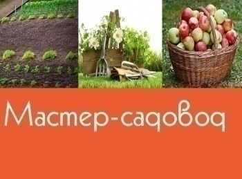 программа Усадьба: Мастер садовод Эпизод 51 й