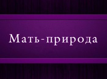 программа Психология 21: Мать природа Эпизод 2 й
