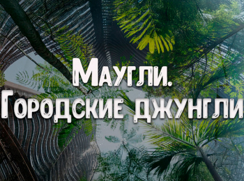 программа ТВ Центр (ТВЦ): Маугли Городские джунгли 2 серия