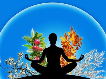 программа Первый вегетарианский: Медицина третьего тысячелетия 34 серия