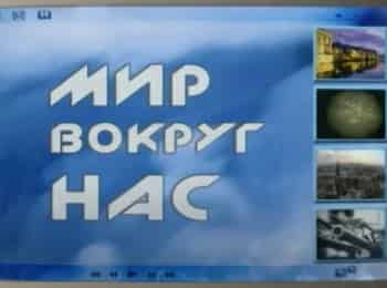 Мир-вокруг-нас-Занимательная-экология