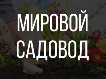 Мировой-садовод-2-серия