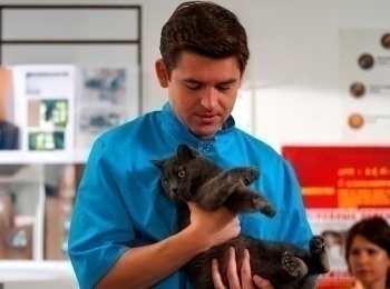 Мои-звери-3-1-серия