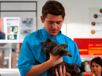 Мои-звери-3-2-серия