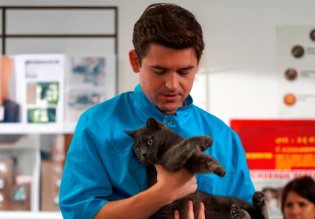 Алла Ельяшевич и фильм Мои звери-3 (2025)