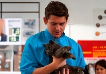 Алла Ельяшевич и фильм Мои звери-4 (2025)