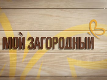 программа Загородный: Мой Загородный Хозяин в доме