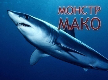 Монстр-Мако
